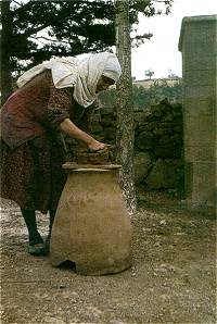 k�plerin bi�imlendirili�i