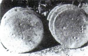 ni�anl� kal�plar