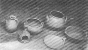 testi y���n�