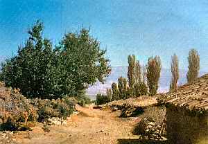 ��mlek�ilerin bulundu�u sokak

